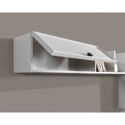 LOS ANGELES TV UNİTESİ